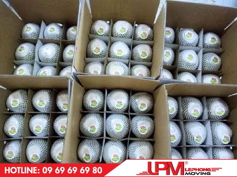 Các quả dừa thường được đóng vào thùng carton 5-7 giúp đảm bảo an toàn
