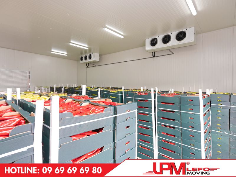 Giá cước vận chuyển hàng đông lạnh