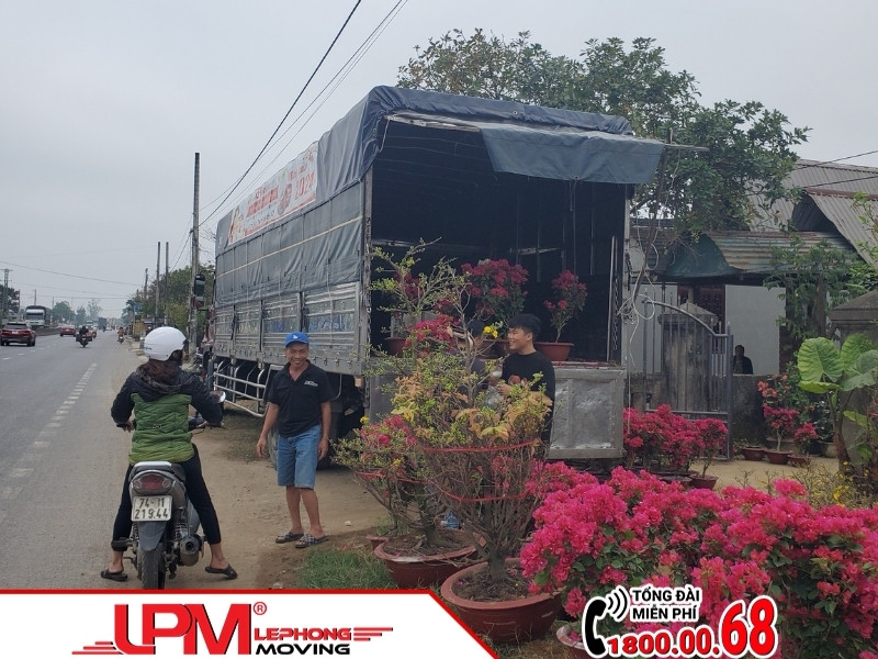 Với hệ thống xe tải chuyên dụng đơn vị vận chuyển cây cảnh sẽ giúp việc vận chuyển cây cảnh diễn ra nhanh chóng