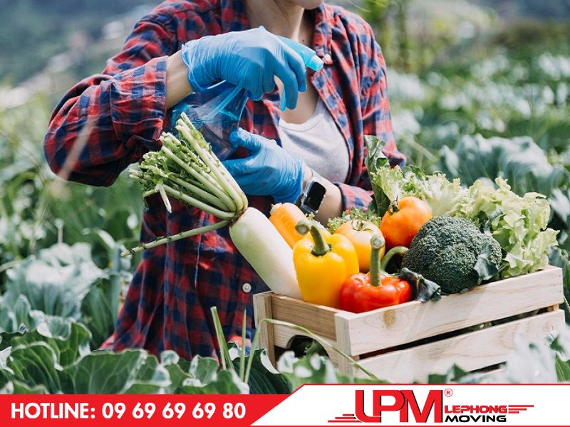 Rau củ, trái cây là những mặt hàng thường được vận chuyển bởi xe tải 7 tấn