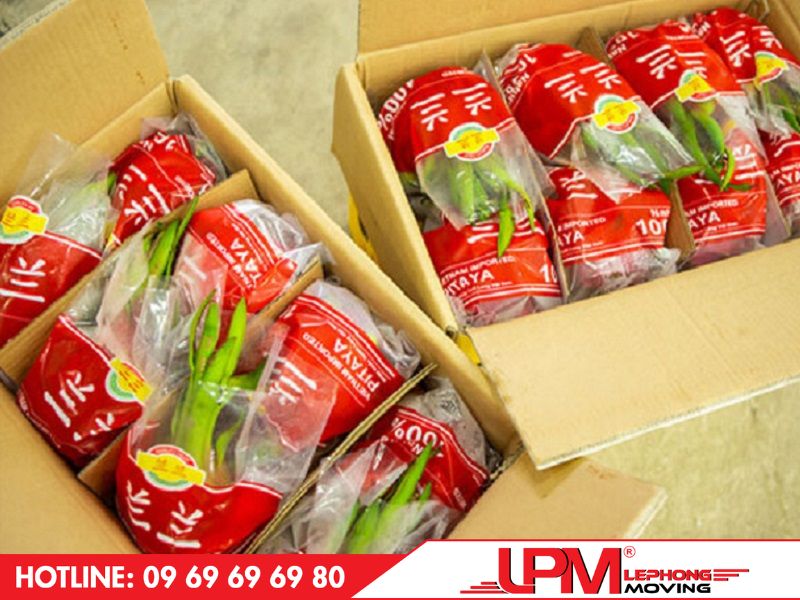 Thanh long trước khi vận chuyển cần được bọc xốp và đóng thùng carton để không bị dập, hư hỏng