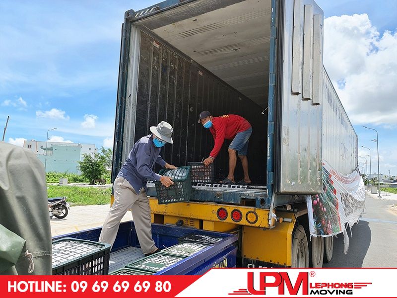 LephongMoving là đơn vị vận chuyển nông sản nhanh với lịch trình đi đều đặn