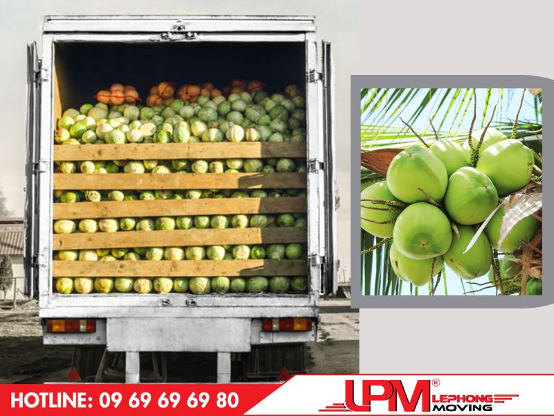 Trái cây vỏ cứng như mít, sầu riêng, dừa,... có thể xếp trực tiếp lên xe tải